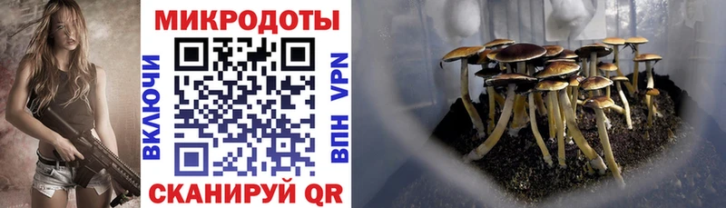 Псилоцибиновые грибы MAGIC MUSHROOMS Купить Верхний Тагил